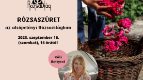 RV-esemeny-blog-488-×-650-keppont-3