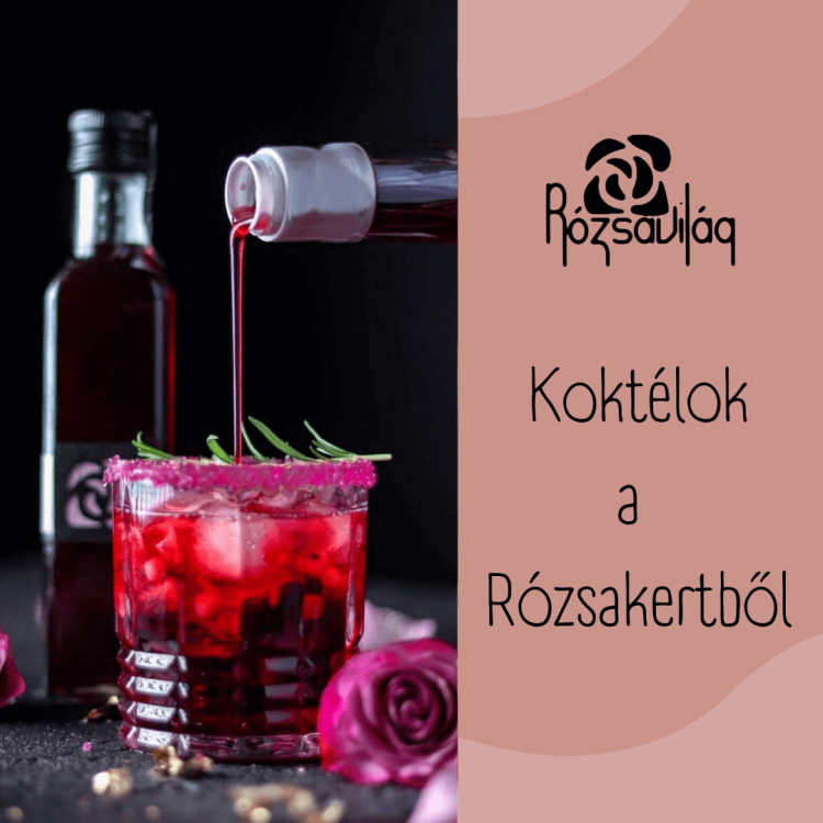 koktelok_a_rozsakertbol