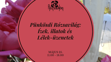 Pünkösd web