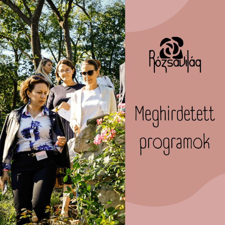 Rózsás wellness délután