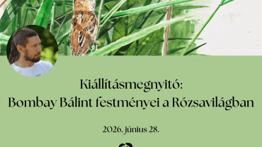 Kiállítás Bombay Bálint webre