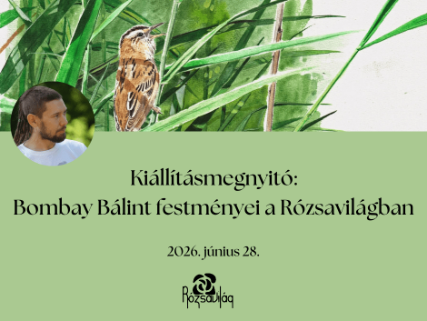 Kiállítás Bombay Bálint webre