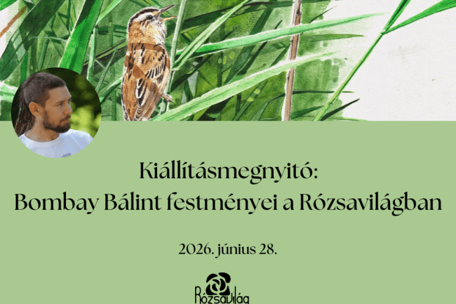 Kiállítás Bombay Bálint webre