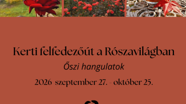 Kerti felfedezőút web
