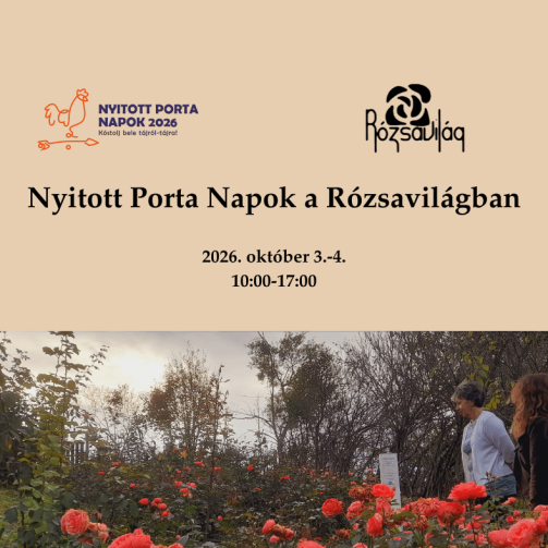 Nyitott Porta Napok web